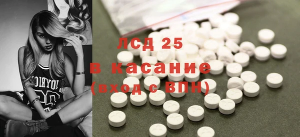 индика Богородск