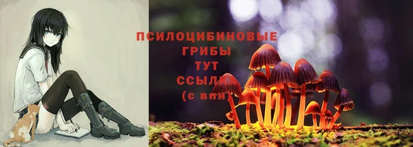 таблы Беломорск