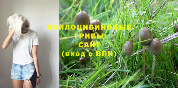 индика Богородск