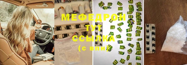 индика Богородск