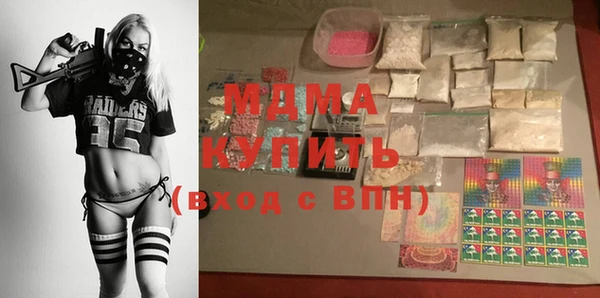 индика Богородск