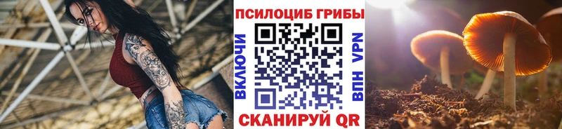 Галлюциногенные грибы Cubensis  Купить где  Олонец 